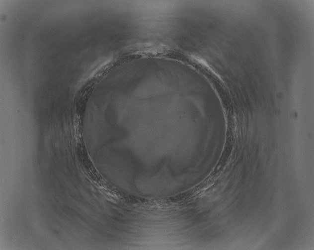 X0000070401399200606231751