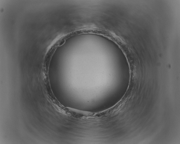 X0000070401400200606231751