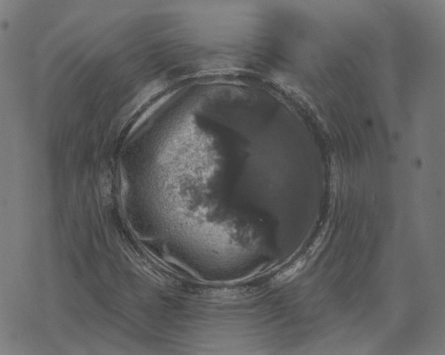 X0000070401401200606231751