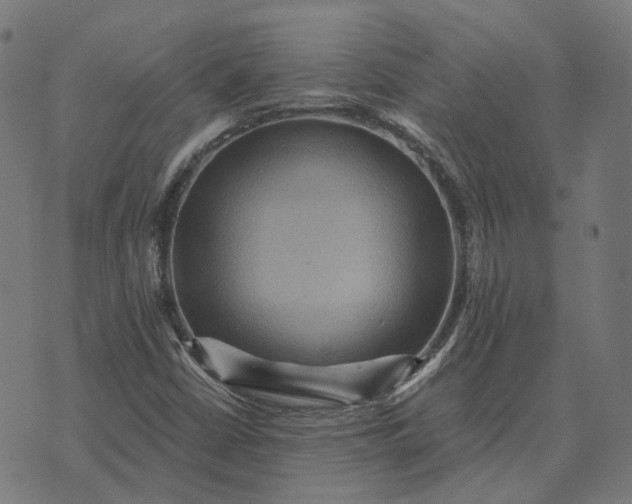 X0000070401402200606231751