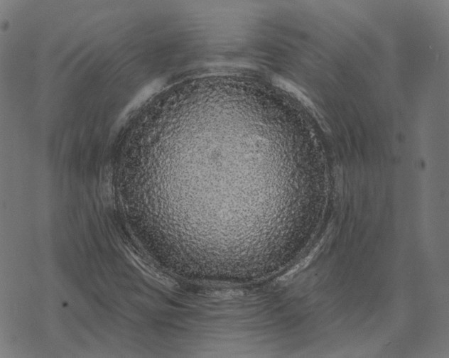 X0000070401403200606231751