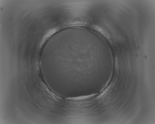 X0000070401405200606231751