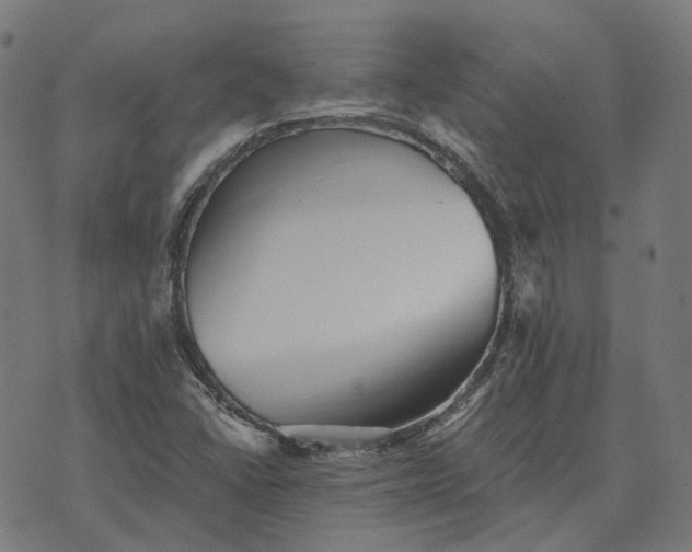 X0000070401406200606231751