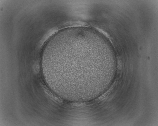 X0000070401407200606231751