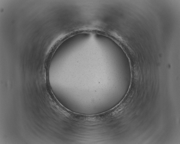 X0000070401408200606231751