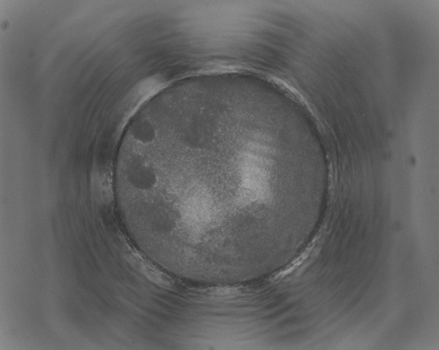 X0000070401409200606231751