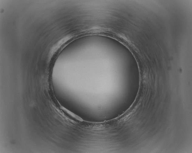 X0000070401410200606231751