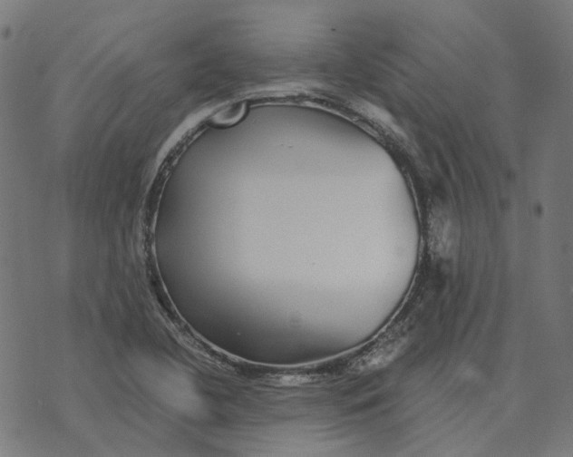 X0000070401412200606231751