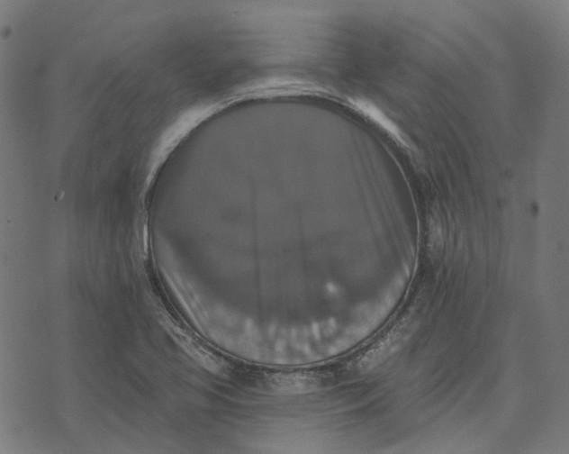 X0000070401413200606231751