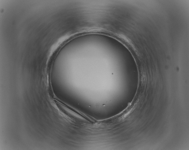 X0000070401414200606231751