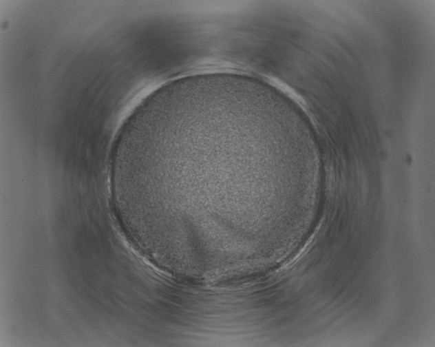 X0000070401415200606231751