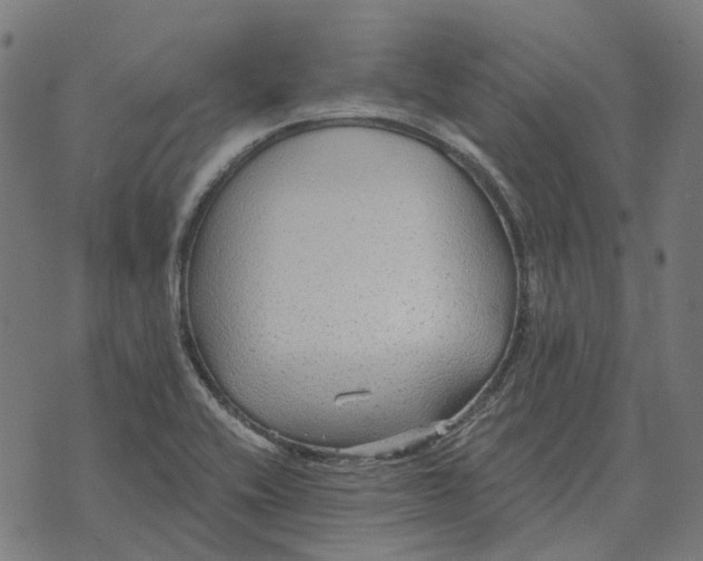 X0000070401416200606231751