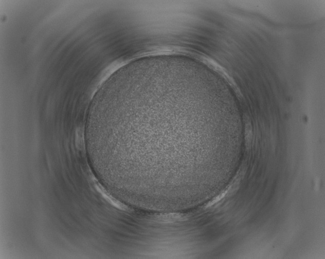 X0000070401417200606231751