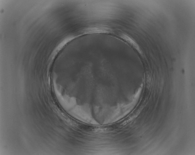 X0000070401419200606231751