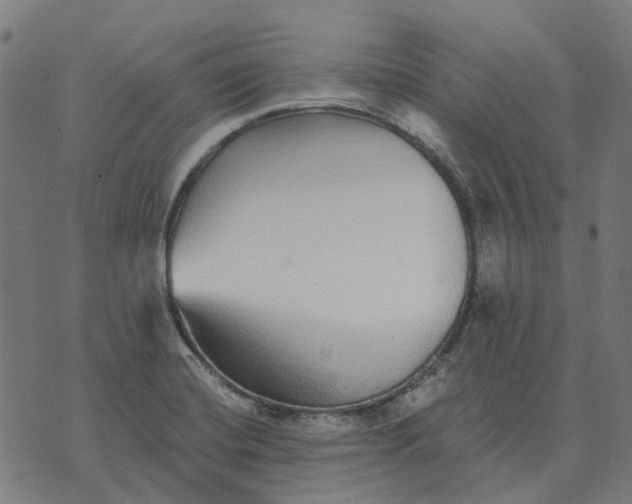 X0000070401420200606231751