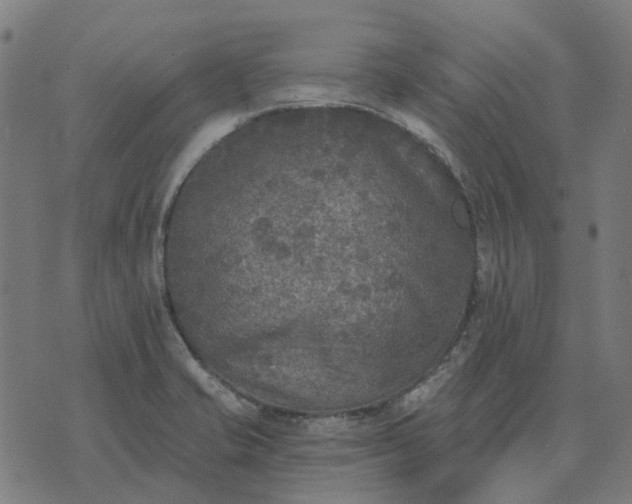 X0000070401421200606231751