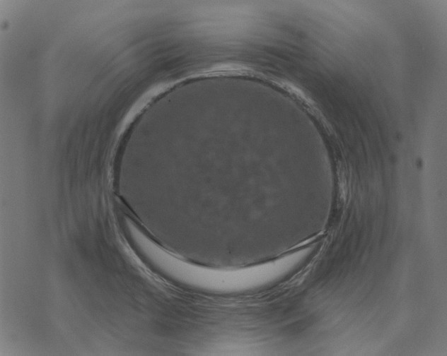 X0000070401422200606231751