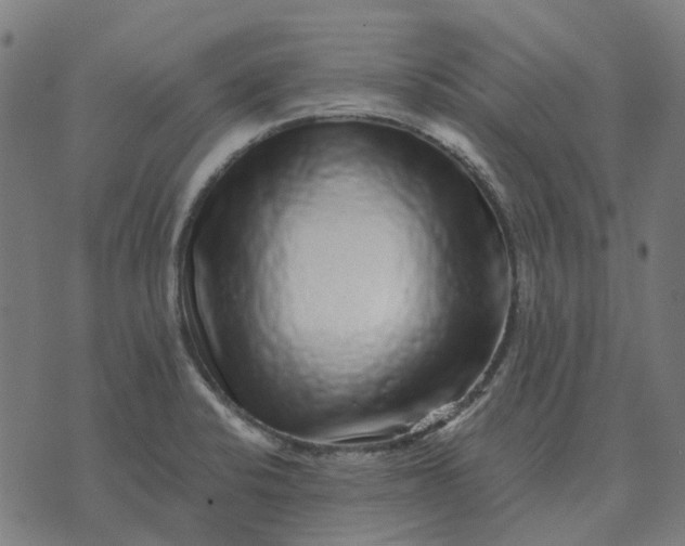 X0000070401424200606231751