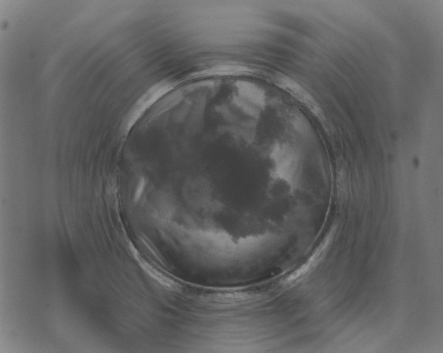 X0000070401425200606231751