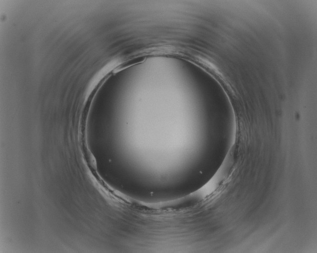 X0000070401426200606231751