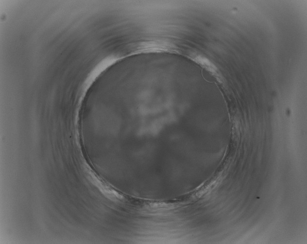 X0000070401427200606231751