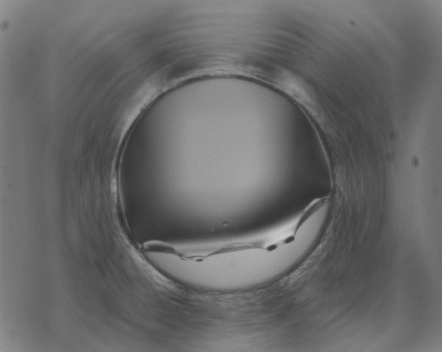 X0000070401428200606231751