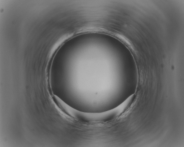 X0000070401430200606231751