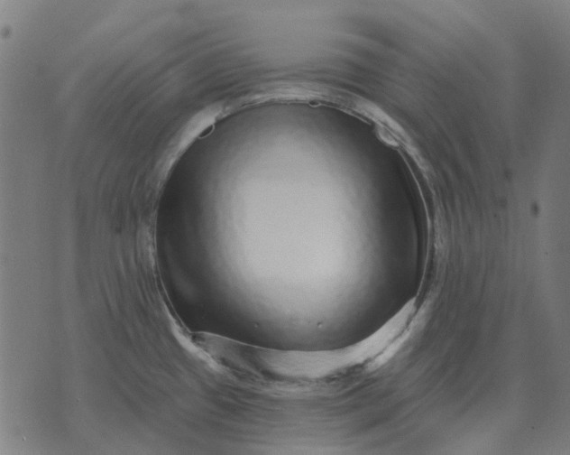 X0000070401433200606231751