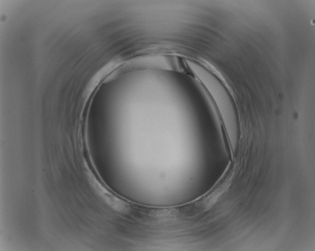 X0000070401434200606231751