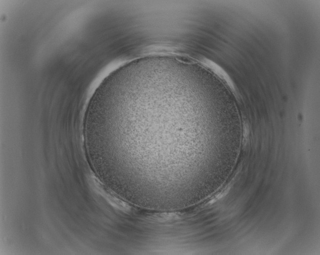 X0000070401435200606231751