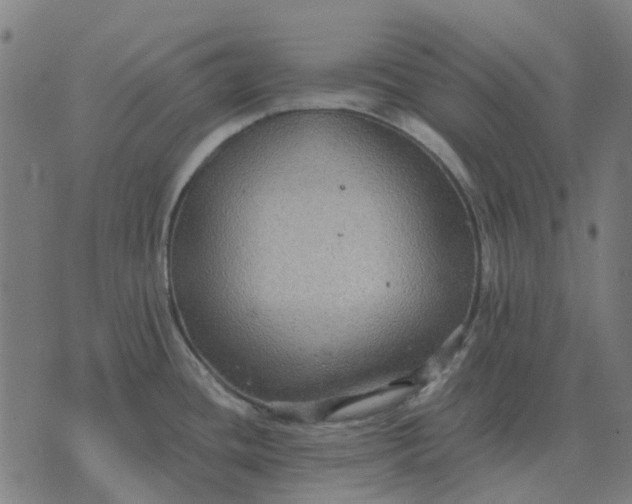 X0000070401436200606231751