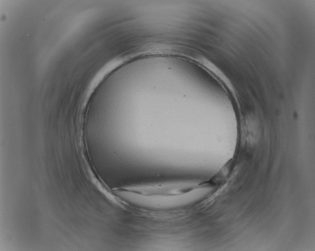 X0000070401437200606231751