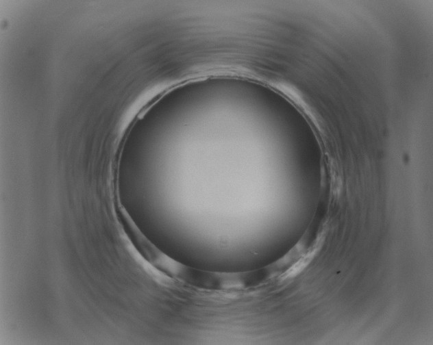 X0000070401438200606231751