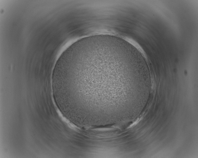 X0000070401439200606231751