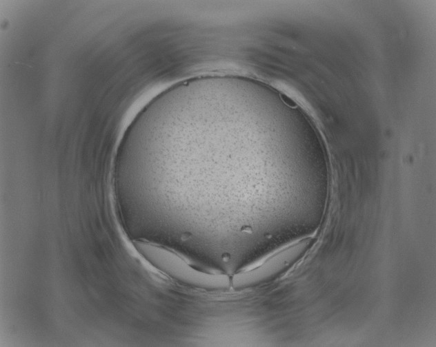 X0000070401440200606231751