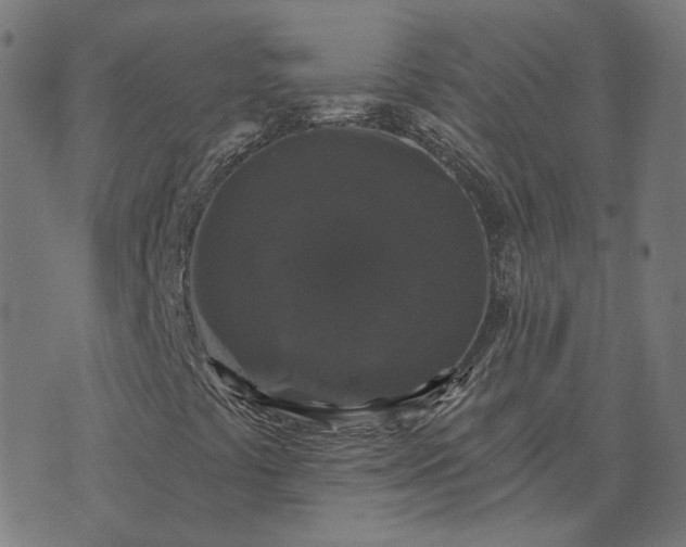 X0000070401441200606231751