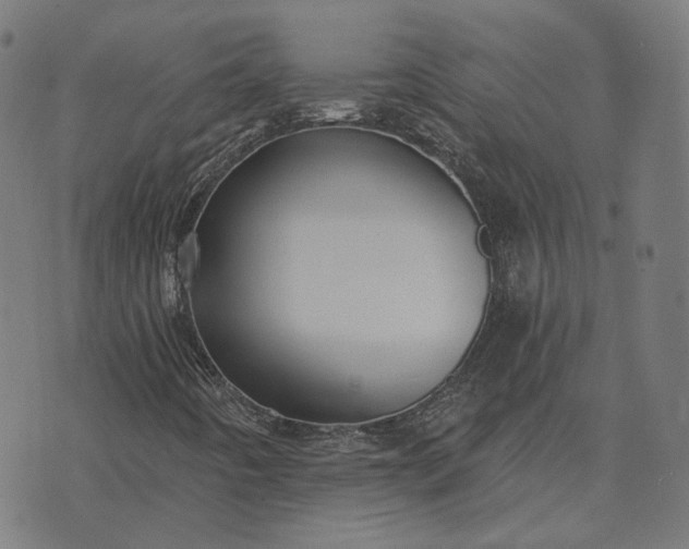 X0000070401442200606231751