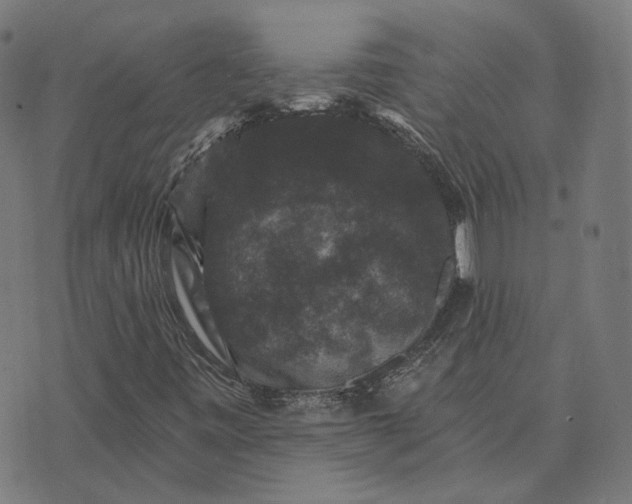 X0000070401443200606231751