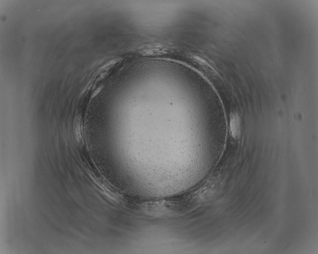 X0000070401444200606231750