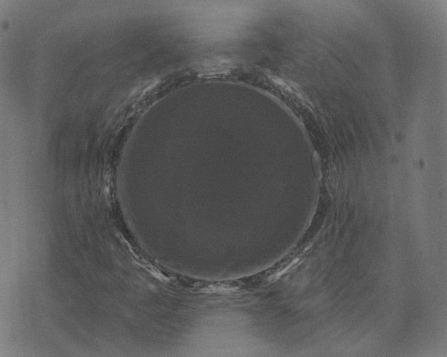 X0000070401445200606231750