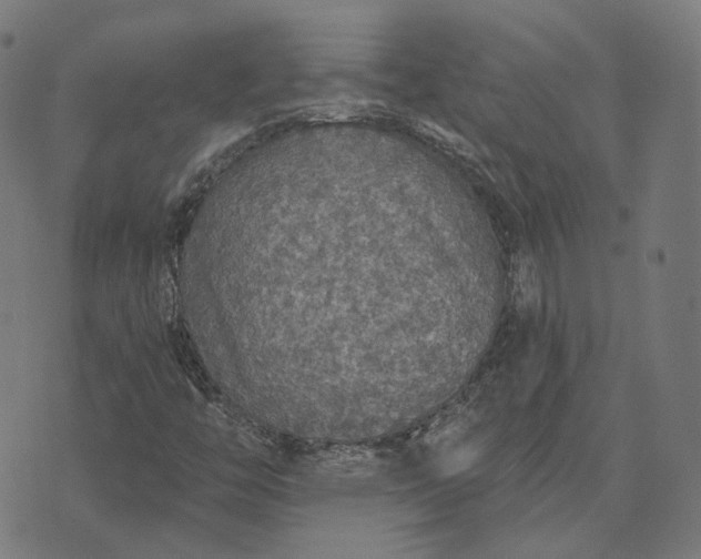 X0000070401446200606231750