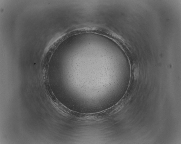 X0000070401448200606231750