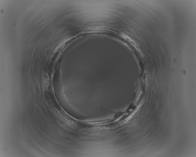 X0000070401449200606231750