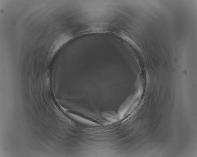 X0000070401450200606231750