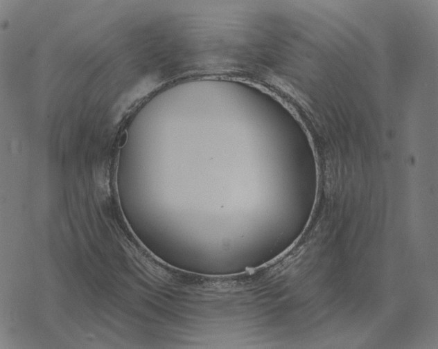 X0000070401451200606231750