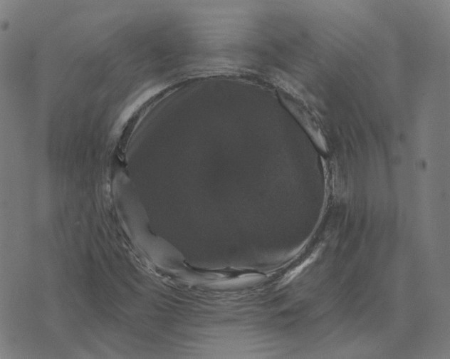 X0000070401453200606231750