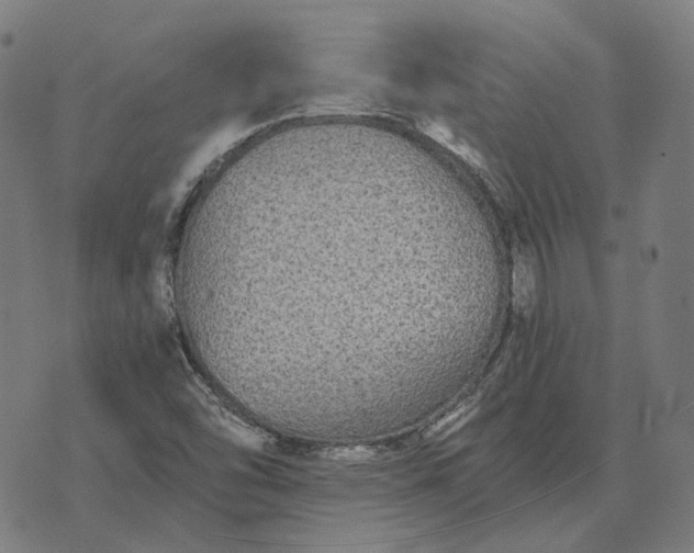 X0000070401454200606231750