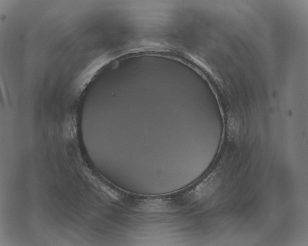 X0000070401455200606231750