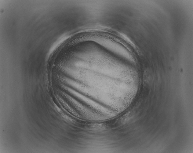 X0000070401456200606231750