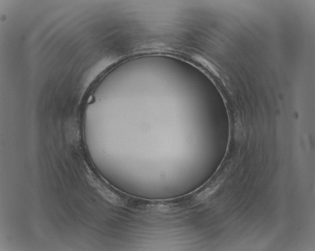 X0000070401458200606231750